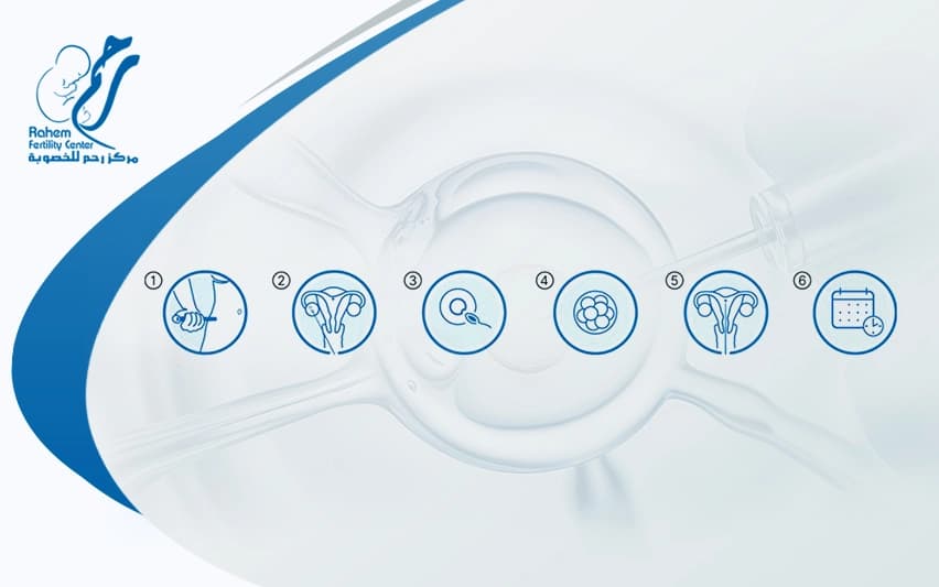 IVF Timeline