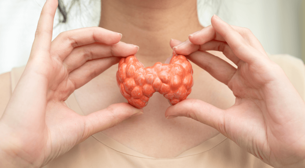Thyroid and pregnancy illustration showing the relationship between thyroid disorders and fertility